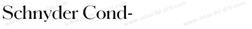 Schnyder Cond字体转换
